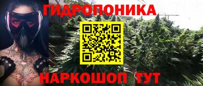 трава Кинель