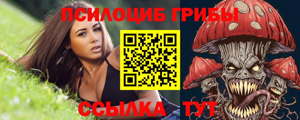 Псилоцибиновые грибы Magic Shrooms  Вход с VPN  Псилоцибиновые грибы Magic Shrooms  Лениногорск 