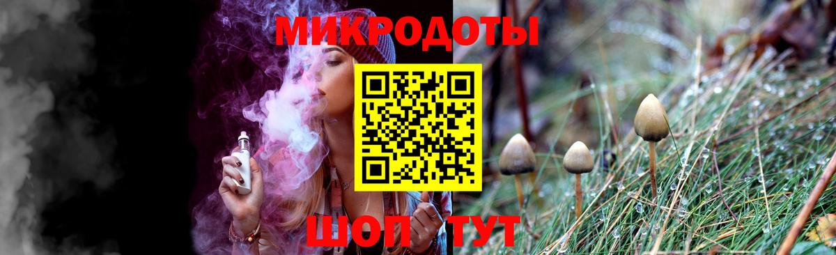 Псилоцибиновые грибы Psilocybine cubensis Лениногорск