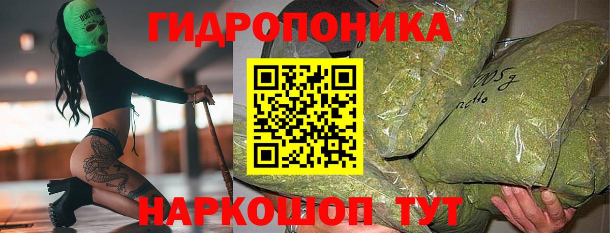 Лениногорск  Шишки марихуана White Widow  Конопля сатива  Вход с VPN  Марихуана план 